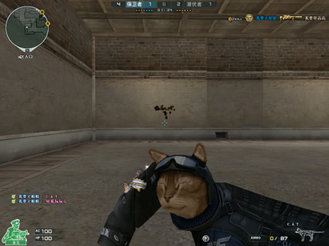 曝EDG冠军皮肤已选择：上单男枪打野佛耶戈